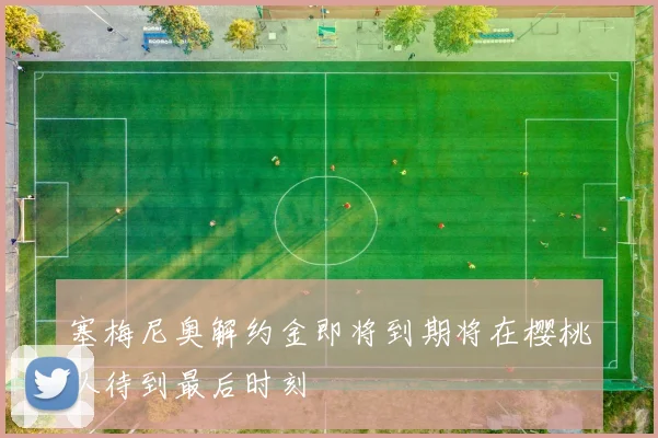 塞梅尼奥解约金即将到期将在樱桃队待到最后时刻