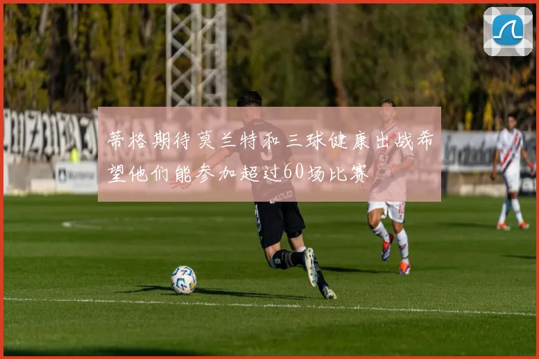蒂格期待莫兰特和三球健康出战希望他们能参加超过60场比赛
