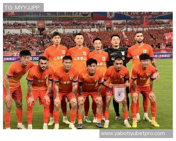 中超球队身价排行榜揭晓海港领衔申花国安泰山紧随其后